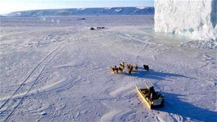 The Last Ice: Salvar el Ártico poster