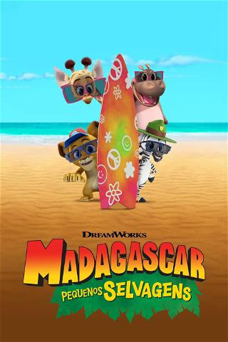 Madagascar Pequenos Selvagens poster