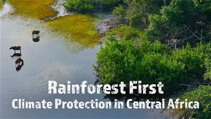 Rainforest First: Climate Protection in Central Africa poster