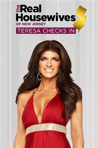 Real Housewives Of New Jersey: Teresa Checks In poster