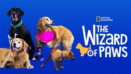 The Wizard of Paws poster