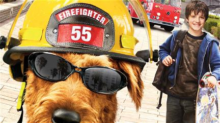 Il cane pompiere poster