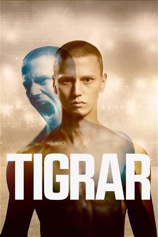 Tigrar poster