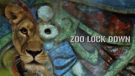 Zoo Lock Down poster