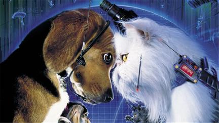 Cats & Dogs poster