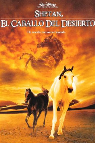 Shetan, el caballo del desierto poster