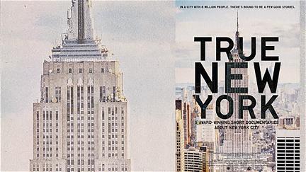 True New York poster