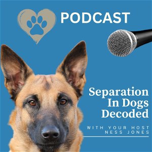 Separation Anxiety In Dogs Decoded hosted by Ness Jones poster