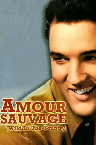 Amour sauvage poster