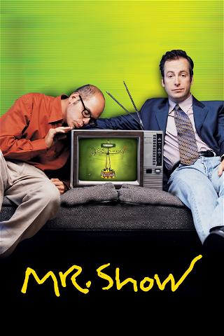 Mr. Show poster