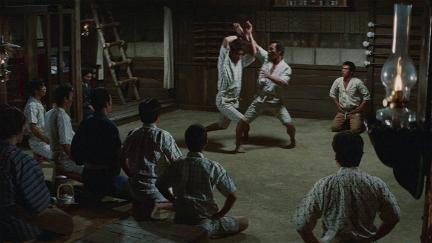 The Power of Aikido poster