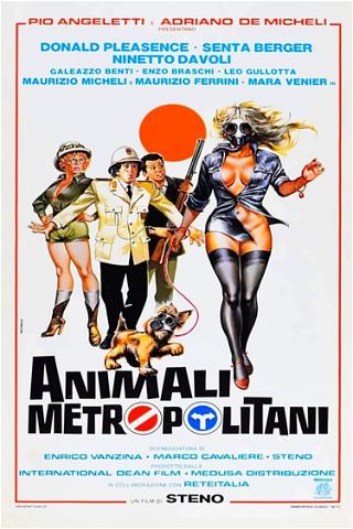 Animales metropolitanos poster