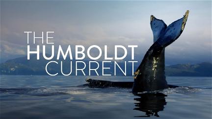 The Humboldt Current poster