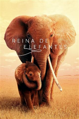 Reina de elefantes poster