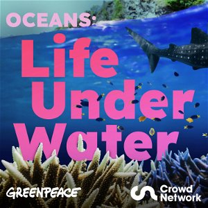 Oceans: Life Under Water poster