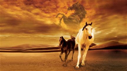 Shetan, el caballo del desierto poster