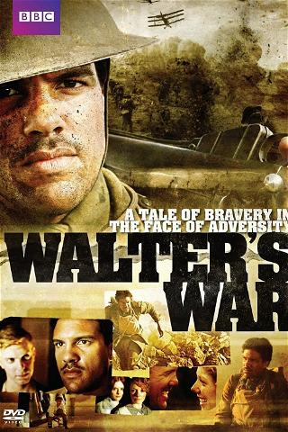 Walter's War poster