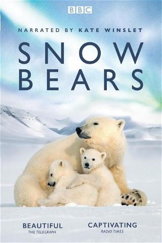 Isbjörnsungarna poster