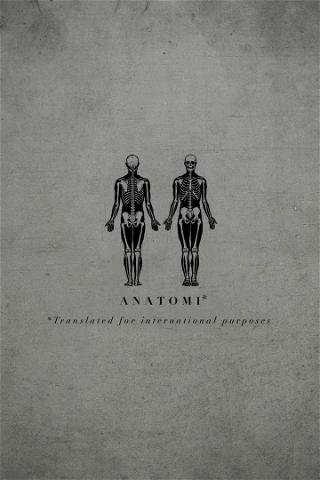 Anatomi poster