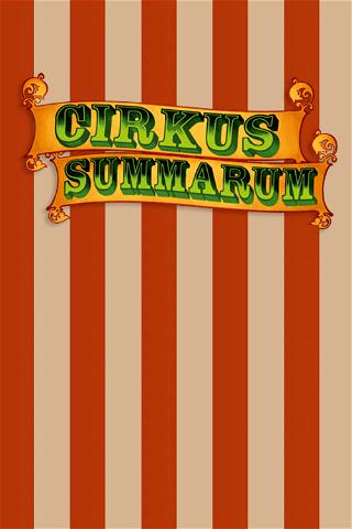 Cirkus Summarum poster