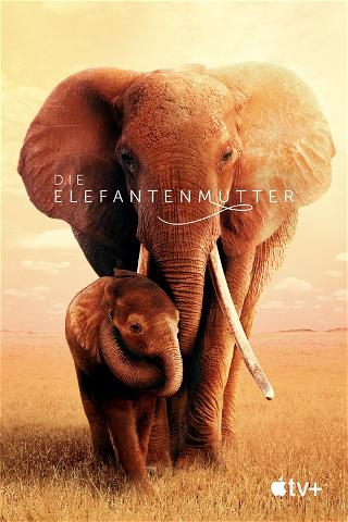 Die Elefantenmutter poster