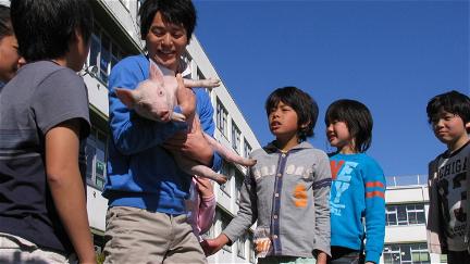 School Days with a Pig poster