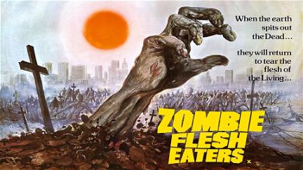 Nueva York bajo el terror de los zombies poster