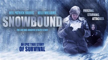 Verloren im Schneesturm - Eine Familie kämpft ums Überleben poster
