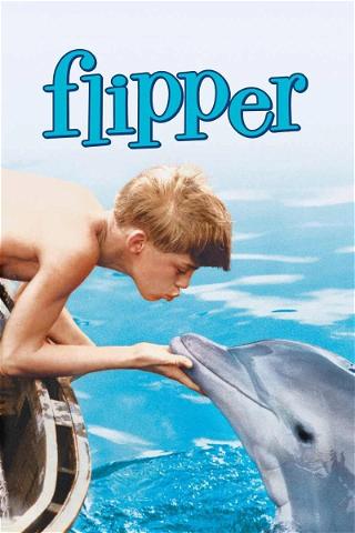 Mi amigo Flipper poster