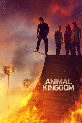 Animal Kingdom poster