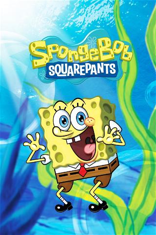 Watch 'SpongeBob SquarePants' Online Streaming (All Episodes) | PlayPilot