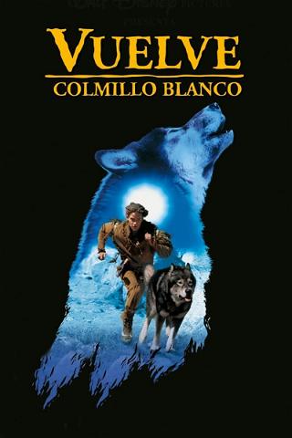 Vuelve Colmillo Blanco poster