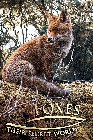 Foxes: Their Secret World poster