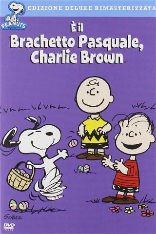 È il bracchetto pasquale, Charlie Brown poster