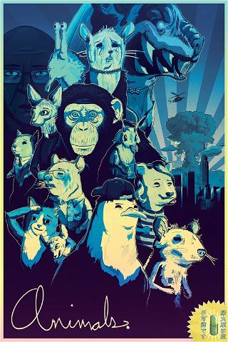 Animals. poster