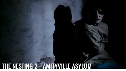 Amityville Asylum poster