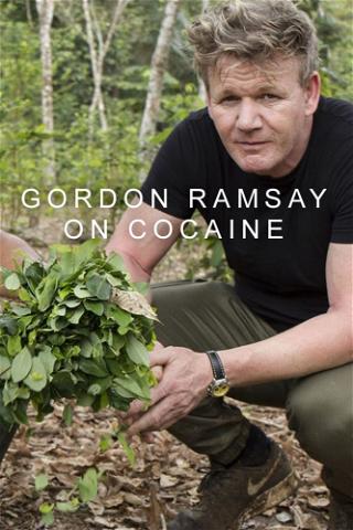 Gordon Ramsay on Cocaine poster