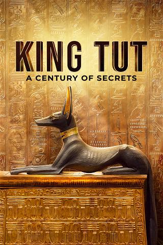 Tutankhamon: il faraone dei misteri poster