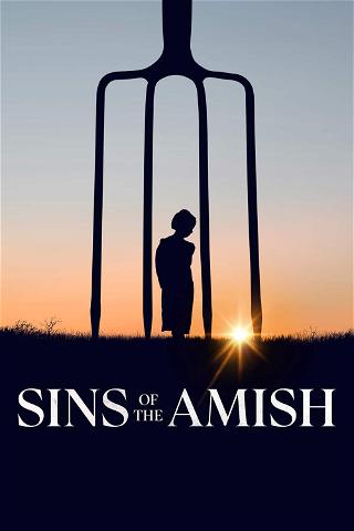 Sins of the Amish poster