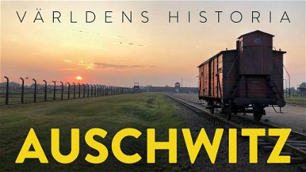 Fotografierne fra Auschwitz poster