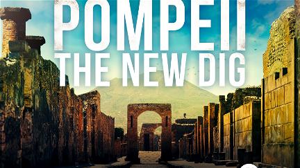 Pompeii: The New Dig poster