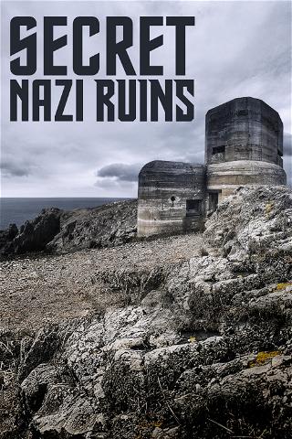 Bases secretas Nazis poster