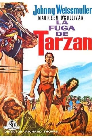 La fuga de Tarzán poster