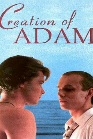 Creation of Adam poster