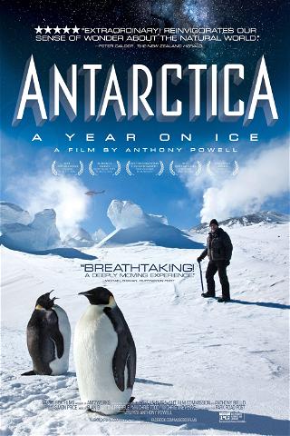 Antártida: Un año sobre hielo poster