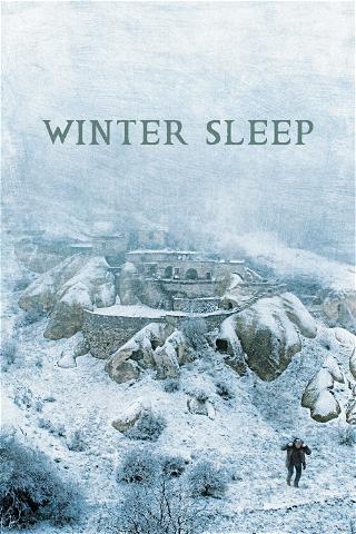 Winter Sleep (Sueño de invierno) poster