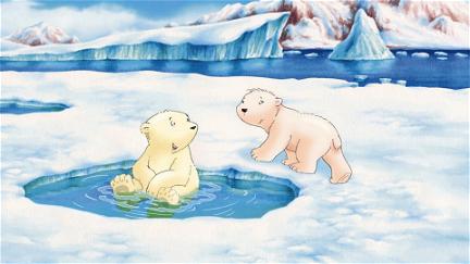 Piuma il piccolo orsetto polare poster