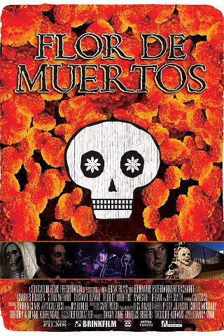 Calexico: Flor de Muertos poster