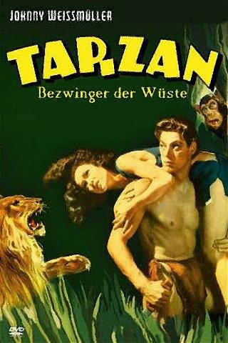 Tarzan, Bezwinger der Wüste poster