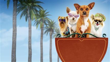 Le Chihuahua de Beverly Hills poster